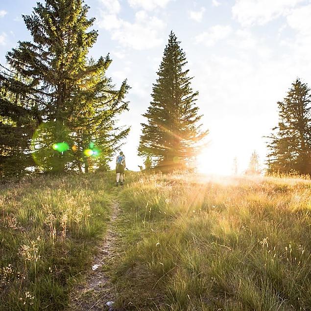 Hike through the quiet forests