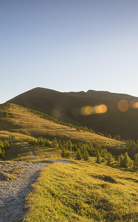 Single mit Kind - entspannte Urlaubserlebnisse in herrlicher Bergkulisse