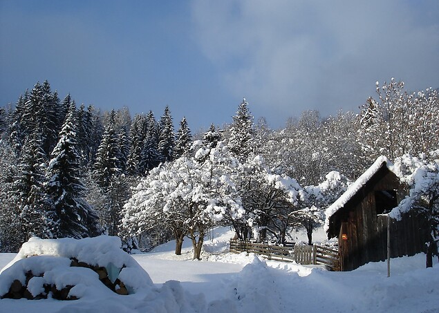 Winter Wellness for Connoisseurs
