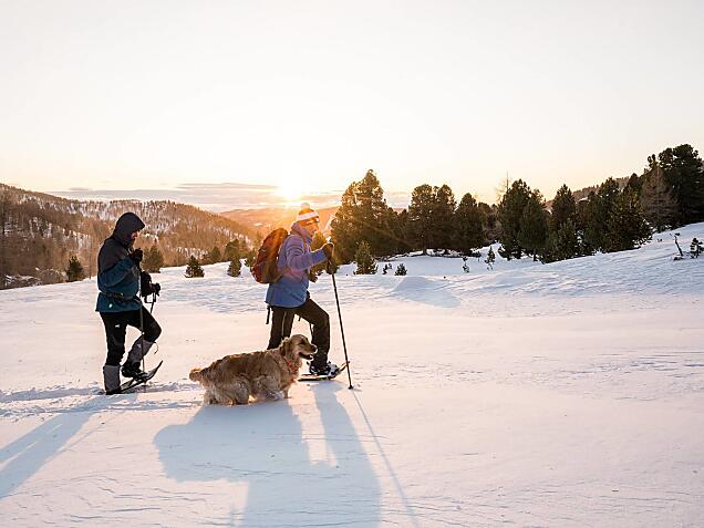 Alpine Slowness on four paws
