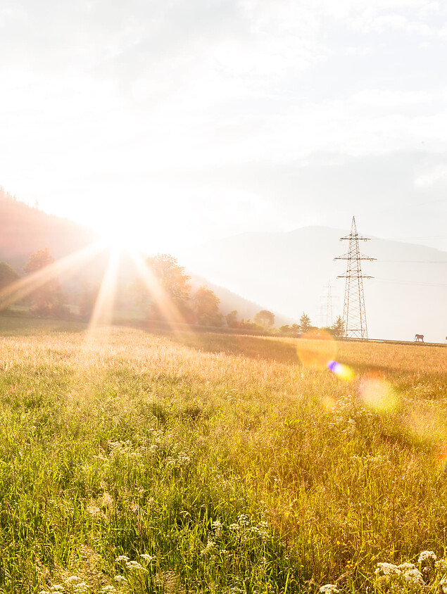 Leuchtender Sonnenschein in herrlicher Natur 