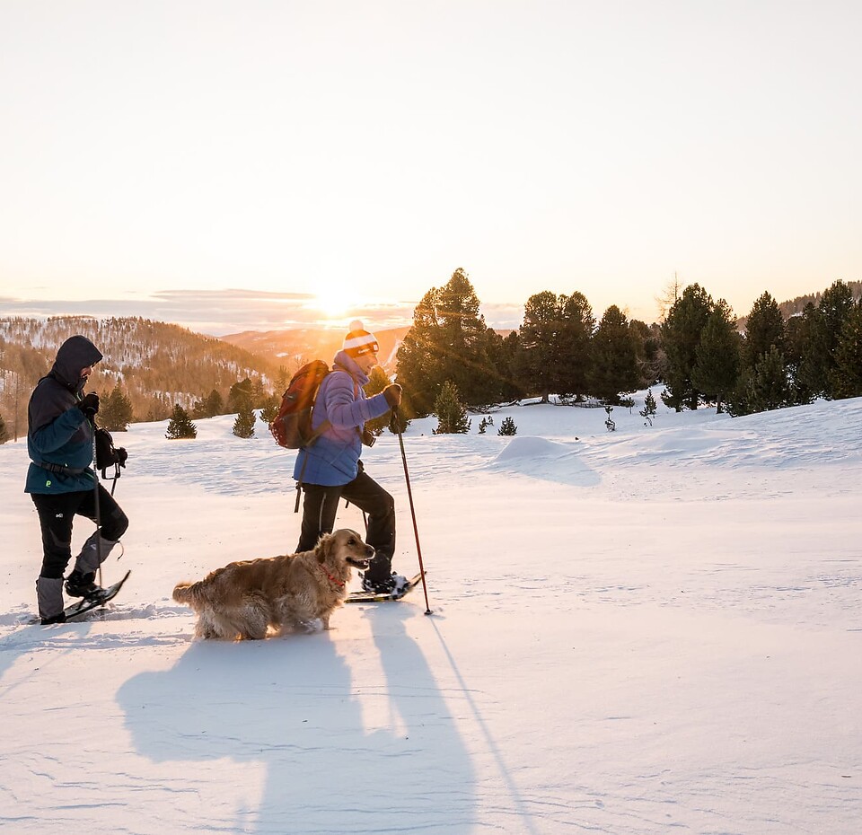 Schneeschuhwandern mit Hund in den Nockbergen in Kärnten